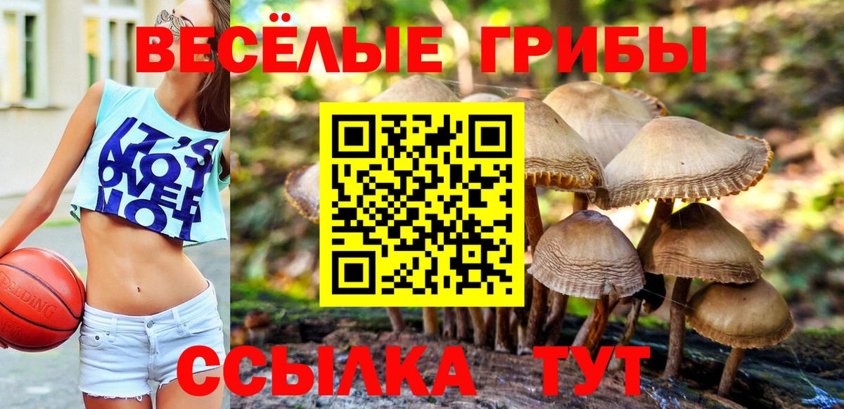 Псилоцибиновые грибы мицелий Пушкино
