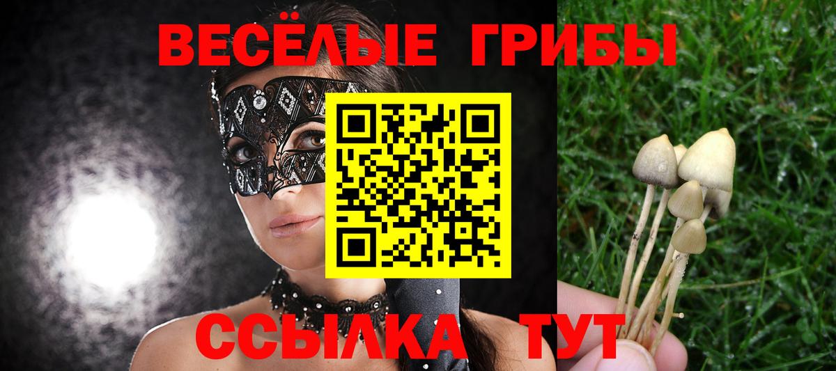 Пушкино  Галлюциногенные грибы мухоморы  Вход с VPN  Галлюциногенные грибы прущие грибы 